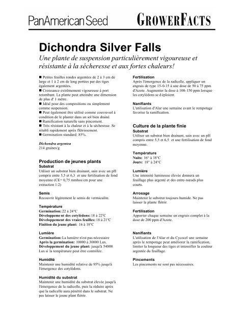 Dichondra Silver Falls - French - Pan American Seed Company