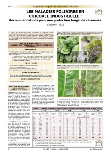LES MALADIES FOLIAIRES EN CHICOREE INDUSTRIELLE :