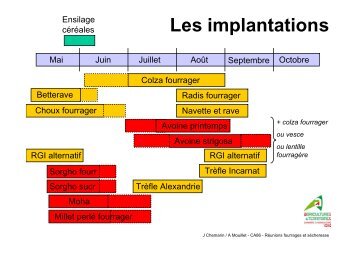 Des fourrages à implanter dès maintenant - La Chambre d ...