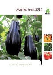 Catalogue Légumes Fruits 2013 (Pdf, 1,24 Mo) - Rijk Zwaan