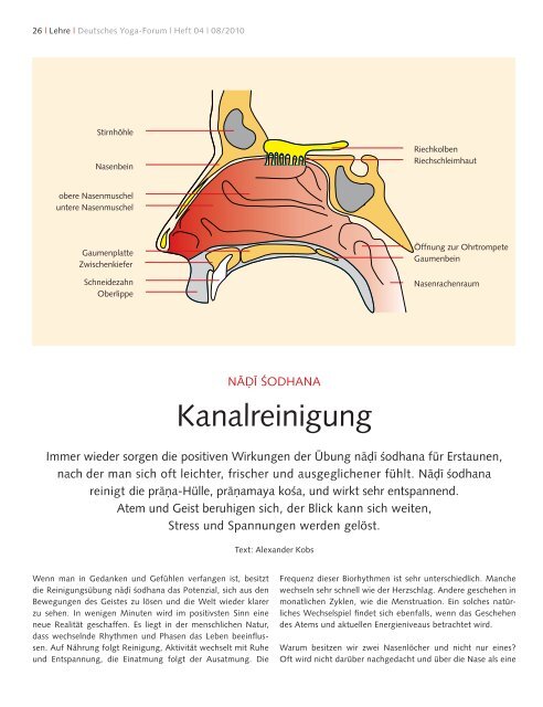 Kanalreinigung