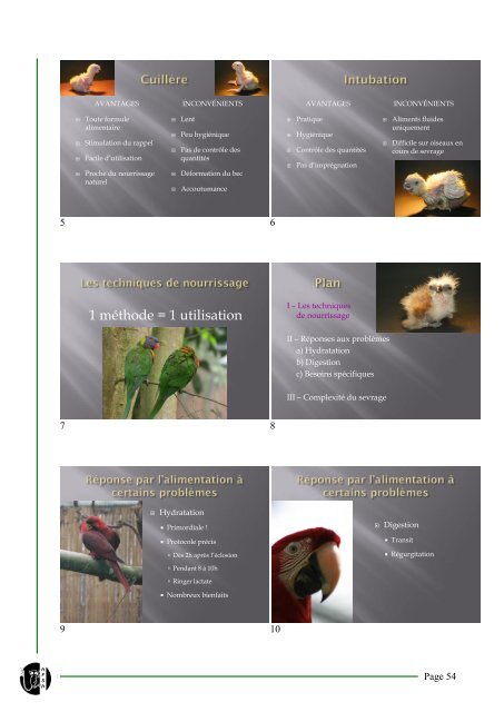 Compte Rendu sur la Conférence de Soigneurs Animaliers ... - AFSA