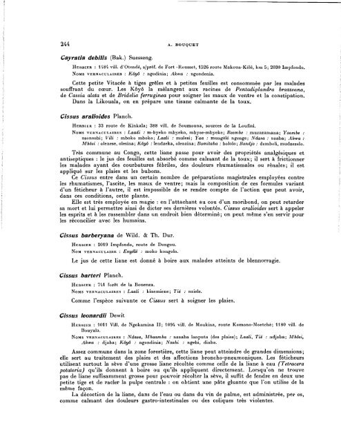 Féticheurs et médecines traditionnelles du Congo (Brazzaville) - IRD