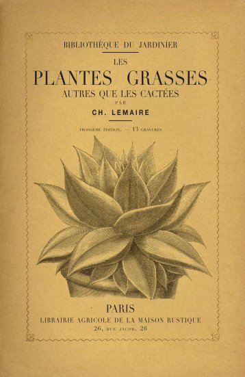 PLANTES GRASSES