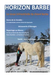 !!!La!revue!trimestrielle!du!cheval!barbe! - Horizon Barbe ...