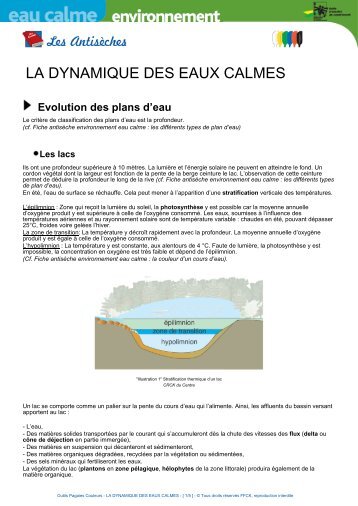 LA DYNAMIQUE DES EAUX CALMES - Collège Pierre SELLIER