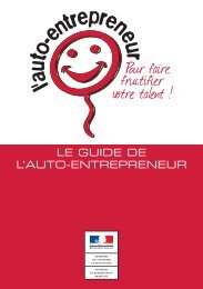 LE GUIDE DE L'AUTO-ENTREPRENEUR - Dgcis