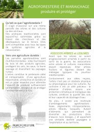 Agroforesterie et Maraichage - AFAF-Association Française d ...