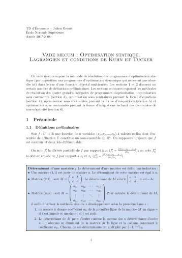 Optimisation statique. Lagrangien et conditions de Kuhn et Tucker