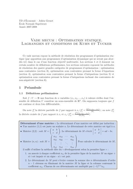 Optimisation statique. Lagrangien et conditions de Kuhn et Tucker