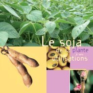 Le soja, de la plante à ses utilisations