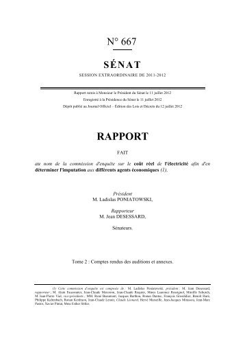 Le rapport au format pdf - Sénat