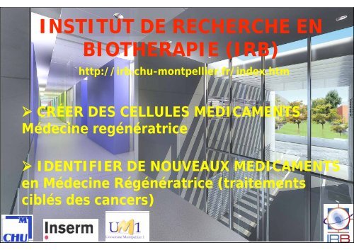 Recherche translationnelle (Bernard Klein) - IRB - CHU Montpellier