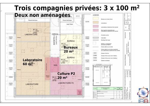 Recherche translationnelle (Bernard Klein) - IRB - CHU Montpellier