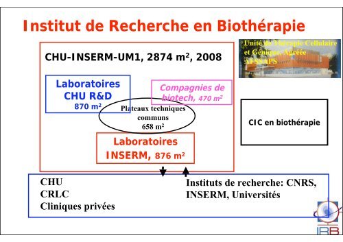 Recherche translationnelle (Bernard Klein) - IRB - CHU Montpellier