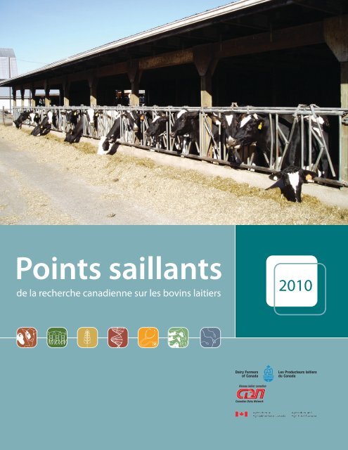 Points saillants de la recherche canadienne sur les bovins laitiers ...