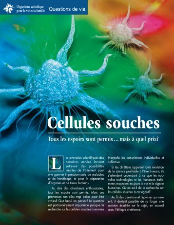 Cellules souches L