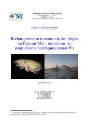 Rechargement et restauration des plages du Pyla sur Mer ... - Siba