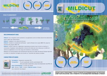 Notice Mildicut - Belchim