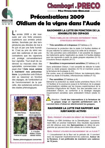 fiche oïdium 09 - Chambre d'agriculture de l'Aude