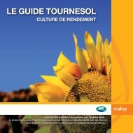 le guide tournesol culture de rendement - NK Seeds