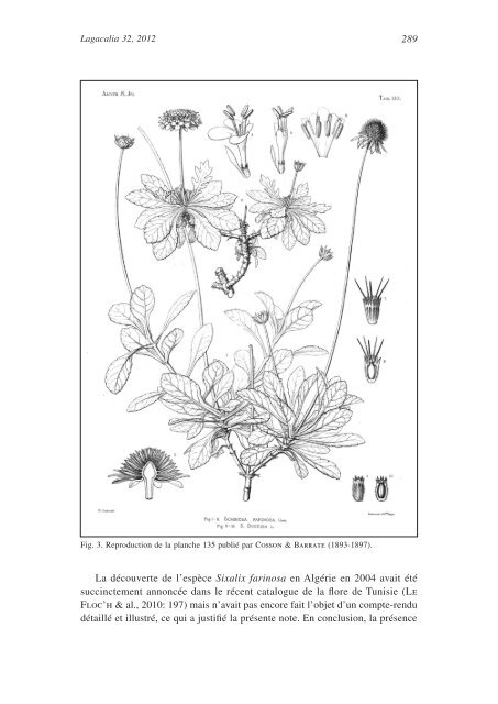 notas taxonómicas y corológicas para la flora de la península ...