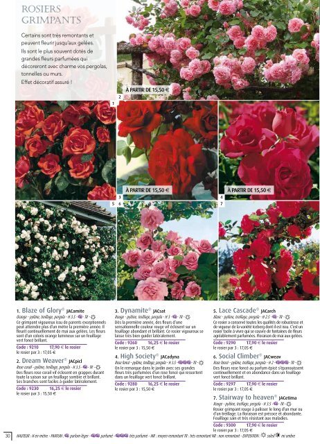 ROSES ANCIENNES et GENEROSA® PARFUMEES - Roses Guillot