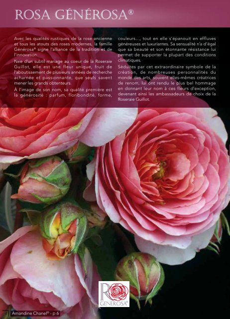 ROSES ANCIENNES et GENEROSA® PARFUMEES - Roses Guillot