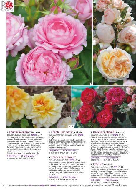 ROSES ANCIENNES et GENEROSA® PARFUMEES - Roses Guillot