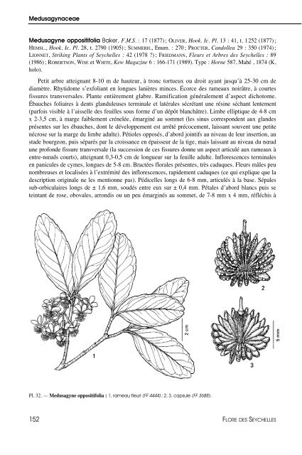 Flore des Seychelles : dicotylédones - IRD