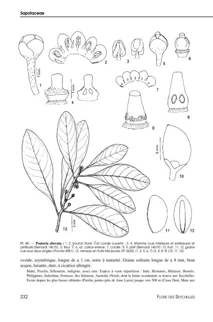 Flore des Seychelles : dicotylédones - IRD