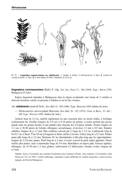 Flore des Seychelles : dicotylédones - IRD