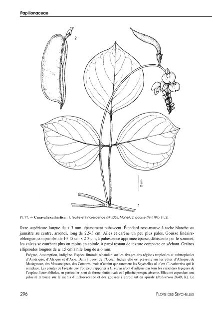 Flore des Seychelles : dicotylédones - IRD