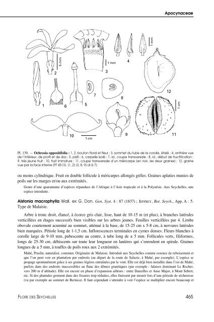 Flore des Seychelles : dicotylédones - IRD