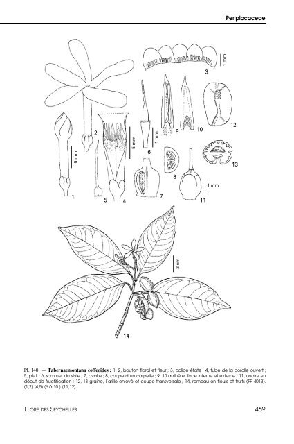 Flore des Seychelles : dicotylédones - IRD