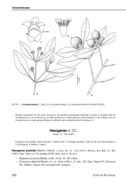 Flore des Seychelles : dicotylédones - IRD