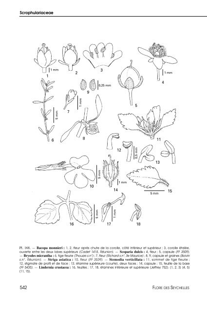 Flore des Seychelles : dicotylédones - IRD