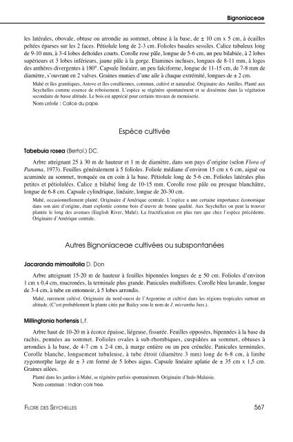 Flore des Seychelles : dicotylédones - IRD