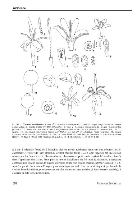 Flore des Seychelles : dicotylédones - IRD