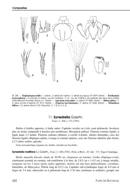 Flore des Seychelles : dicotylédones - IRD