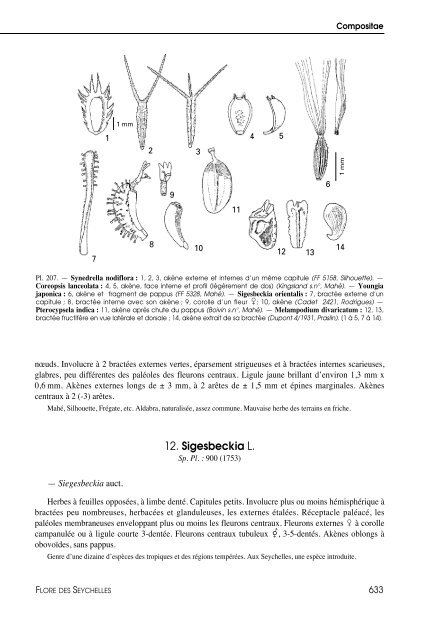 Flore des Seychelles : dicotylédones - IRD