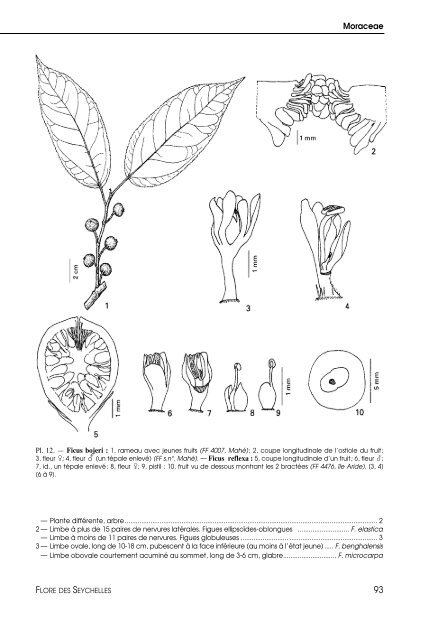 Flore des Seychelles : dicotylédones - IRD