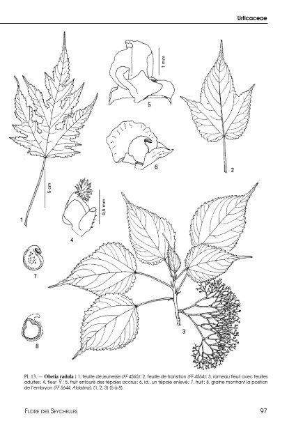 Flore des Seychelles : dicotylédones - IRD