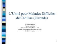 L'Unité pour Malades Difficiles de Cadillac - Psychiatrie adulte et ...