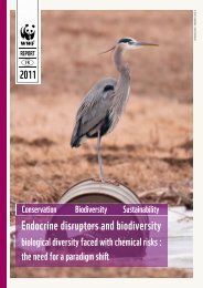 Endocrine disruptors and biodiversity - WWF France