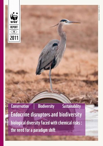 Endocrine disruptors and biodiversity - WWF France