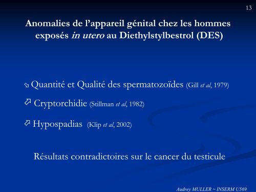 Impact des perturbateurs endocriniens sur la fertilité masculine