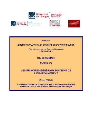 les principes généraux du droit de l'environnement - FOAD ...