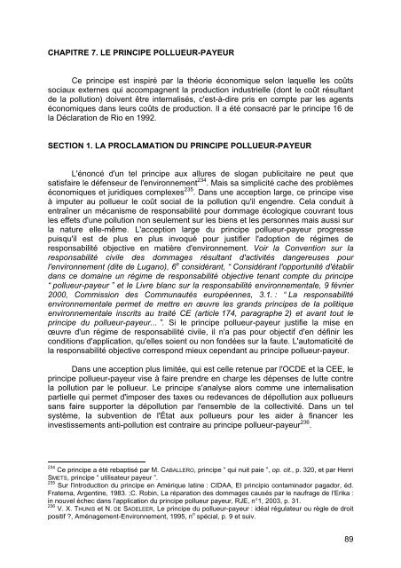 les principes généraux du droit de l'environnement - FOAD ...