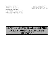 plan de securite alimentaire de la commune rurale de kiffosso i